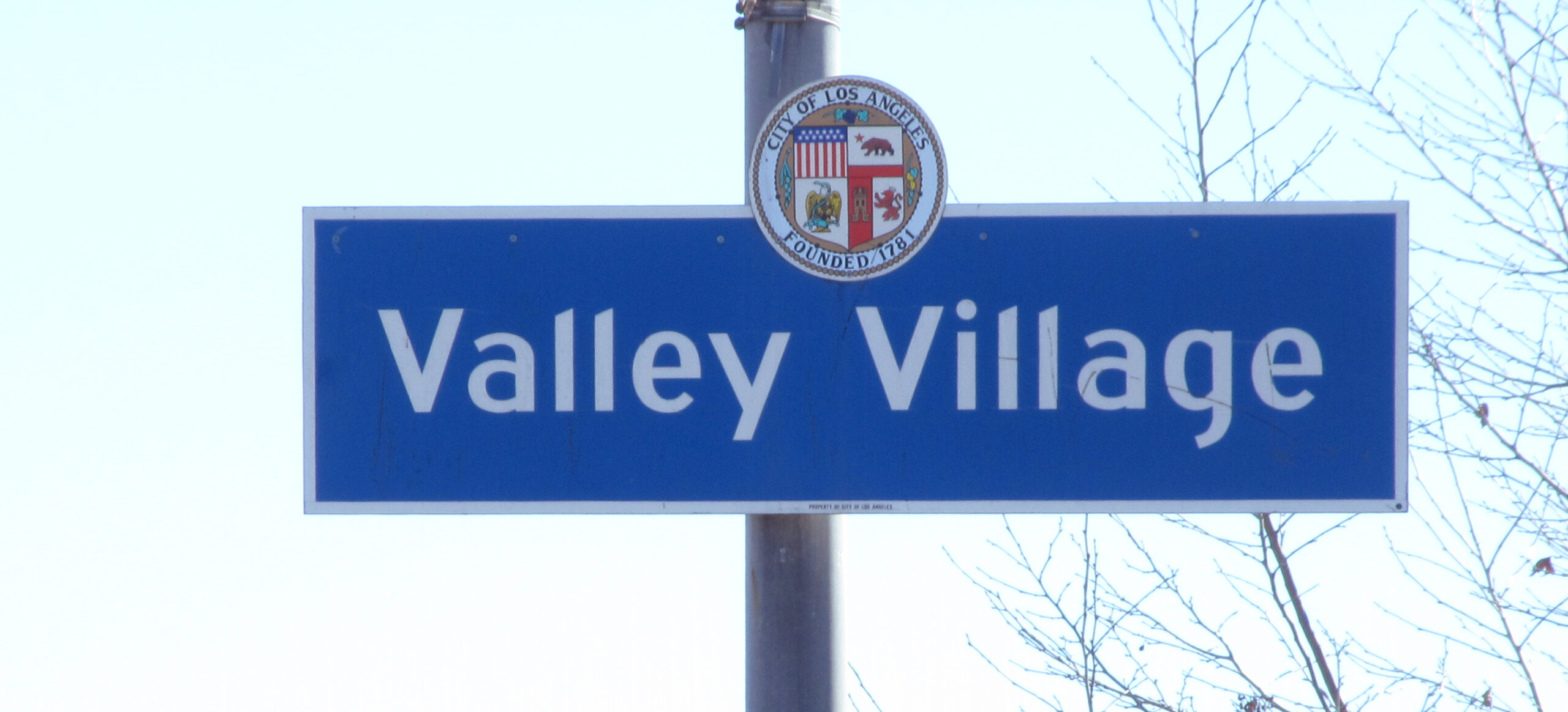 Valley Village Architect