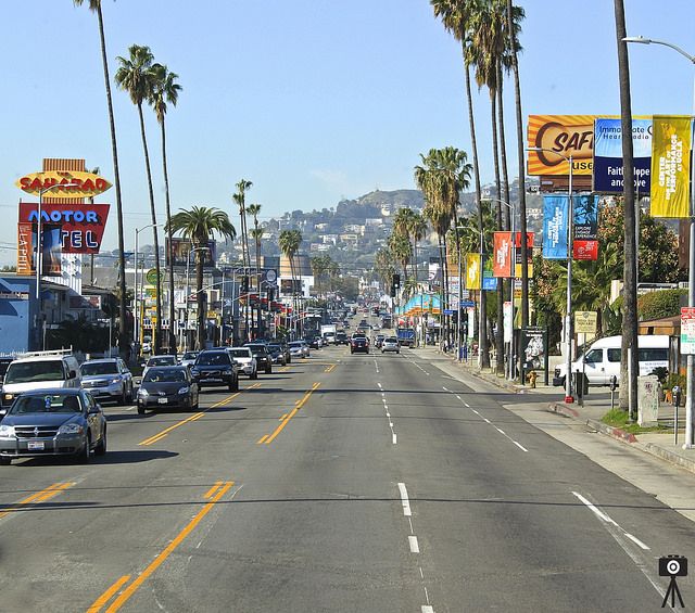 Los Angeles Architect